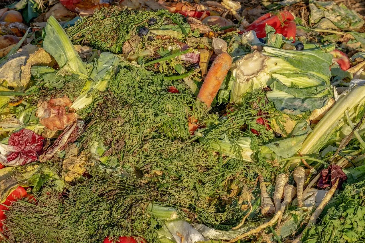 A heap of mixed vegetable peelings and kitchen waste in a compost bin