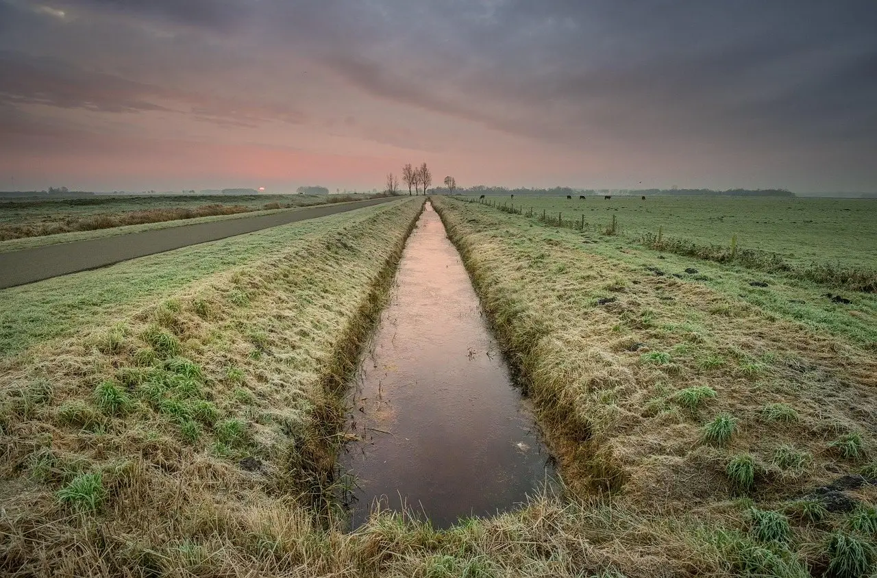 A grassed drainage ditch running between two fields at dawn, water standing in the channel