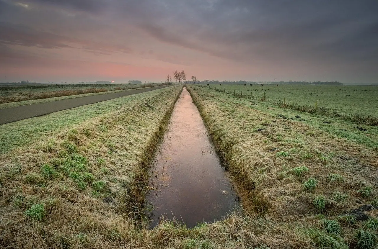A grassed drainage ditch running between two fields at dawn, water standing in the channel