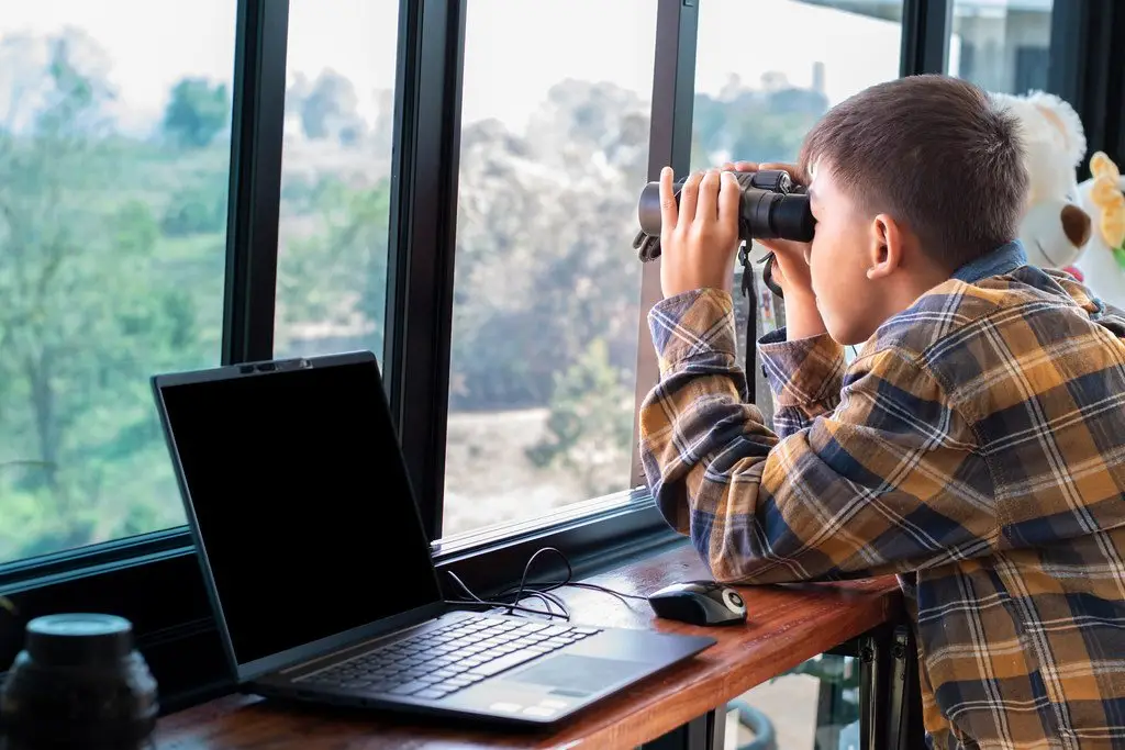 A person watching birds through binoculars at a window, a laptop open on the desk beside them