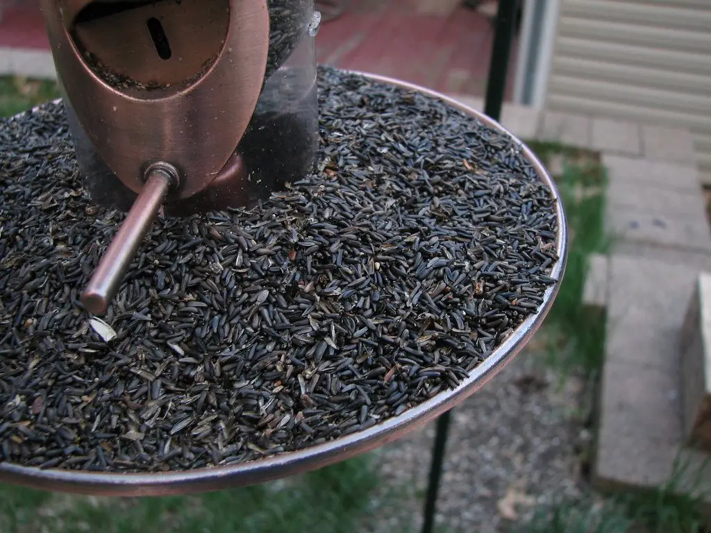 A round metal tray feeder filled with small black nyjer seed, seen from above