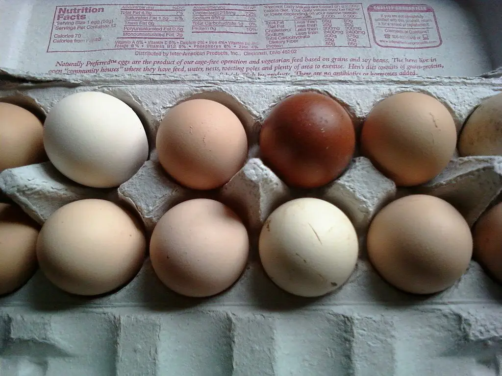 A carton of eggs in a range of brown, cream and pale pink shells