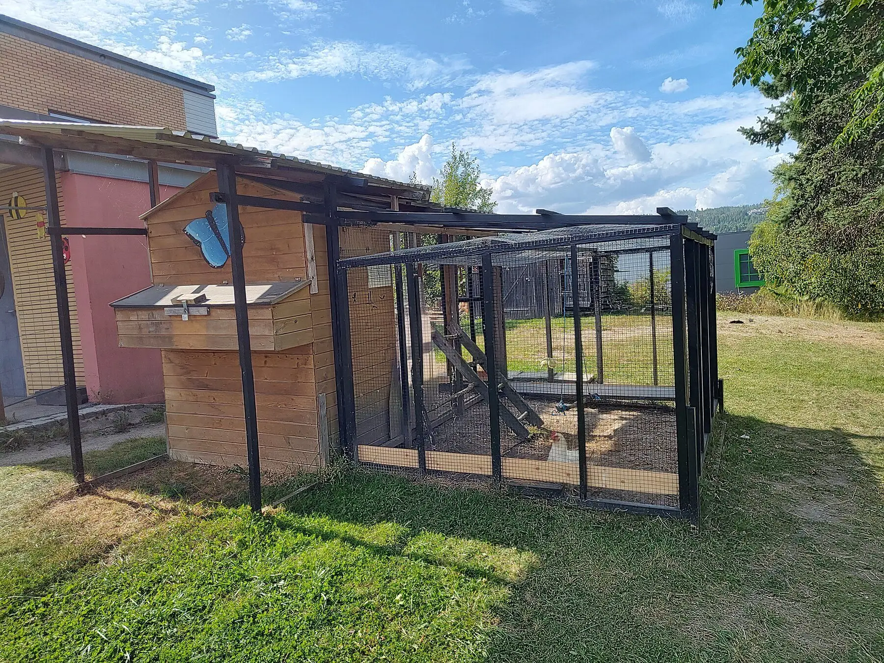 A wooden chicken coop with an external nest box lid and a mesh-covered run alongside it