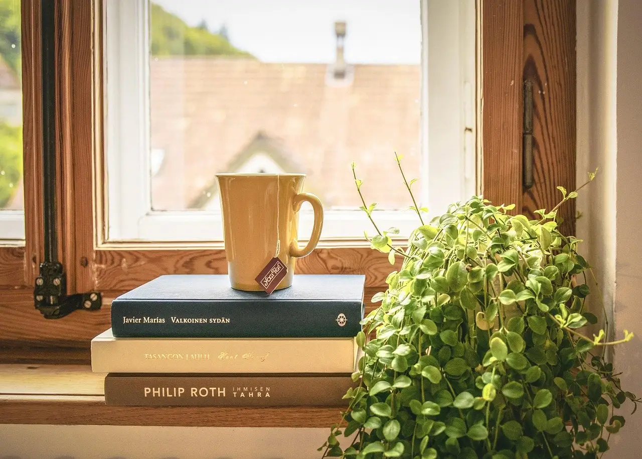 Repotting houseplant