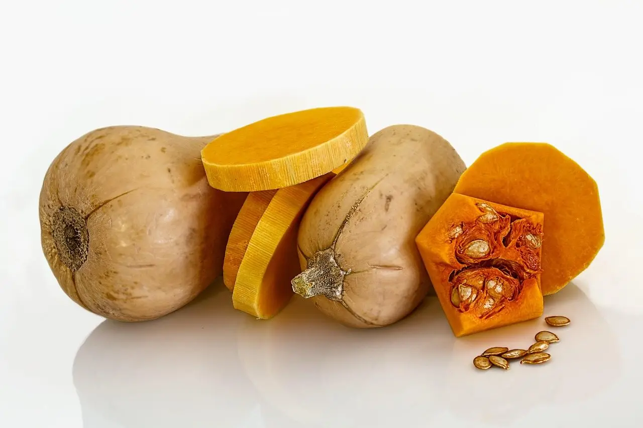 Winter squash harvest
