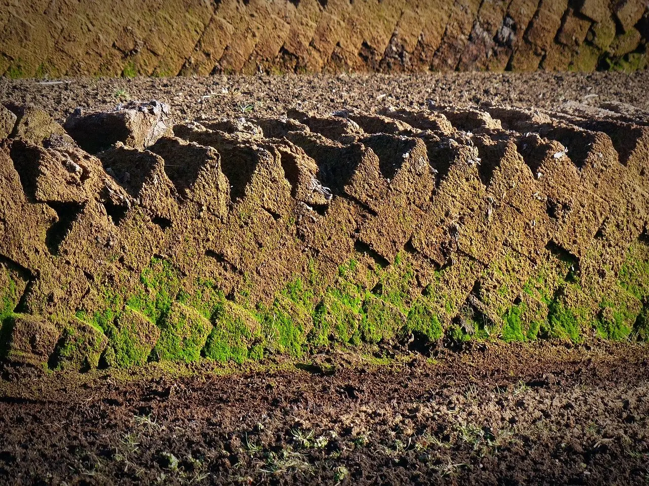 Cut banks of dark peat exposed in rows on a moor