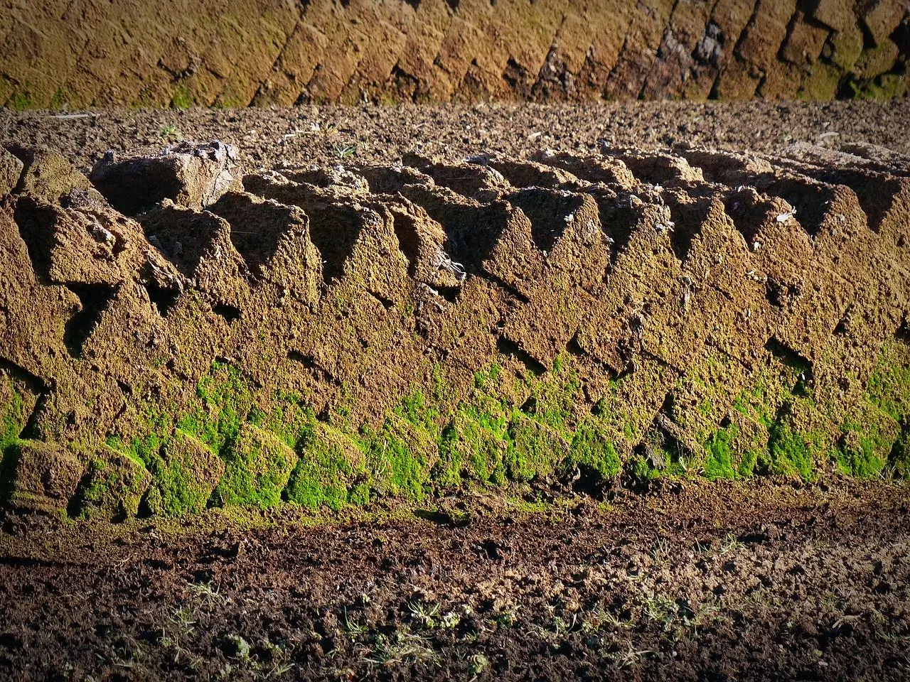 Cut banks of dark peat exposed in rows on a moor