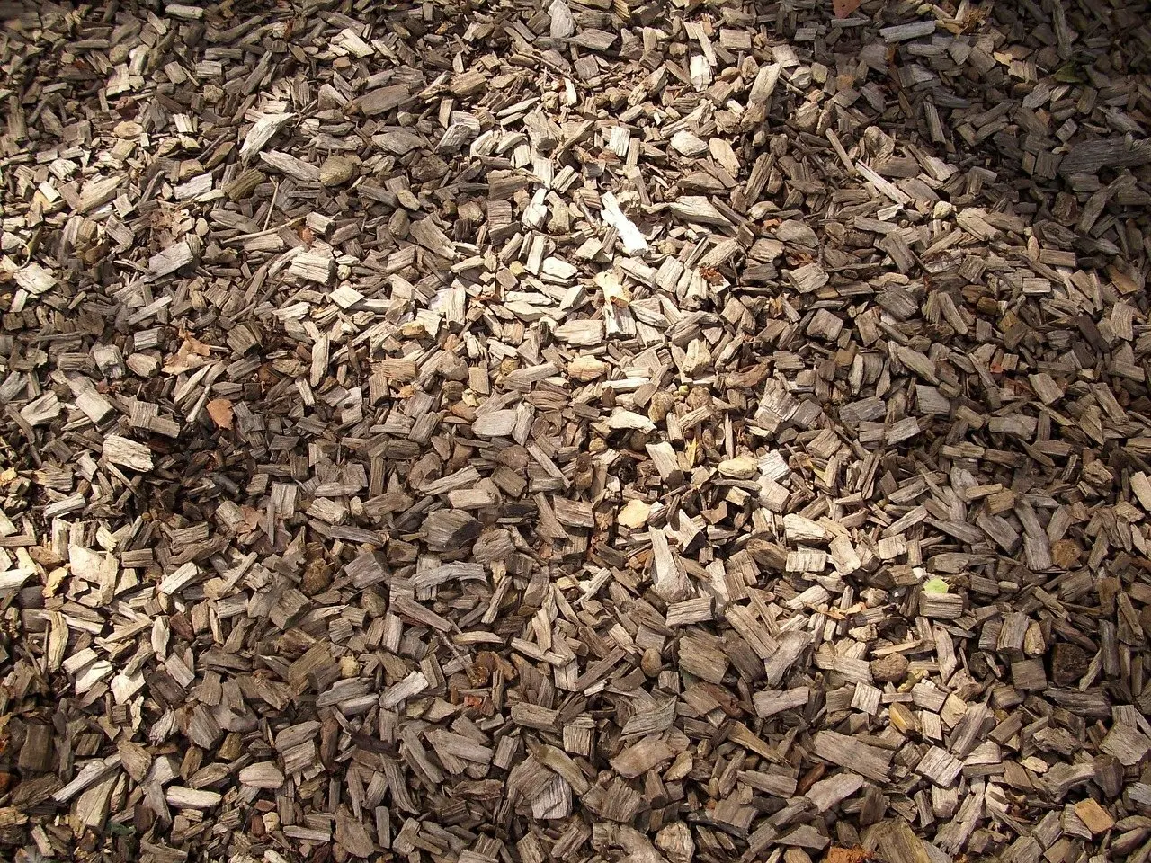 A layer of fine dry wood chippings spread over the ground