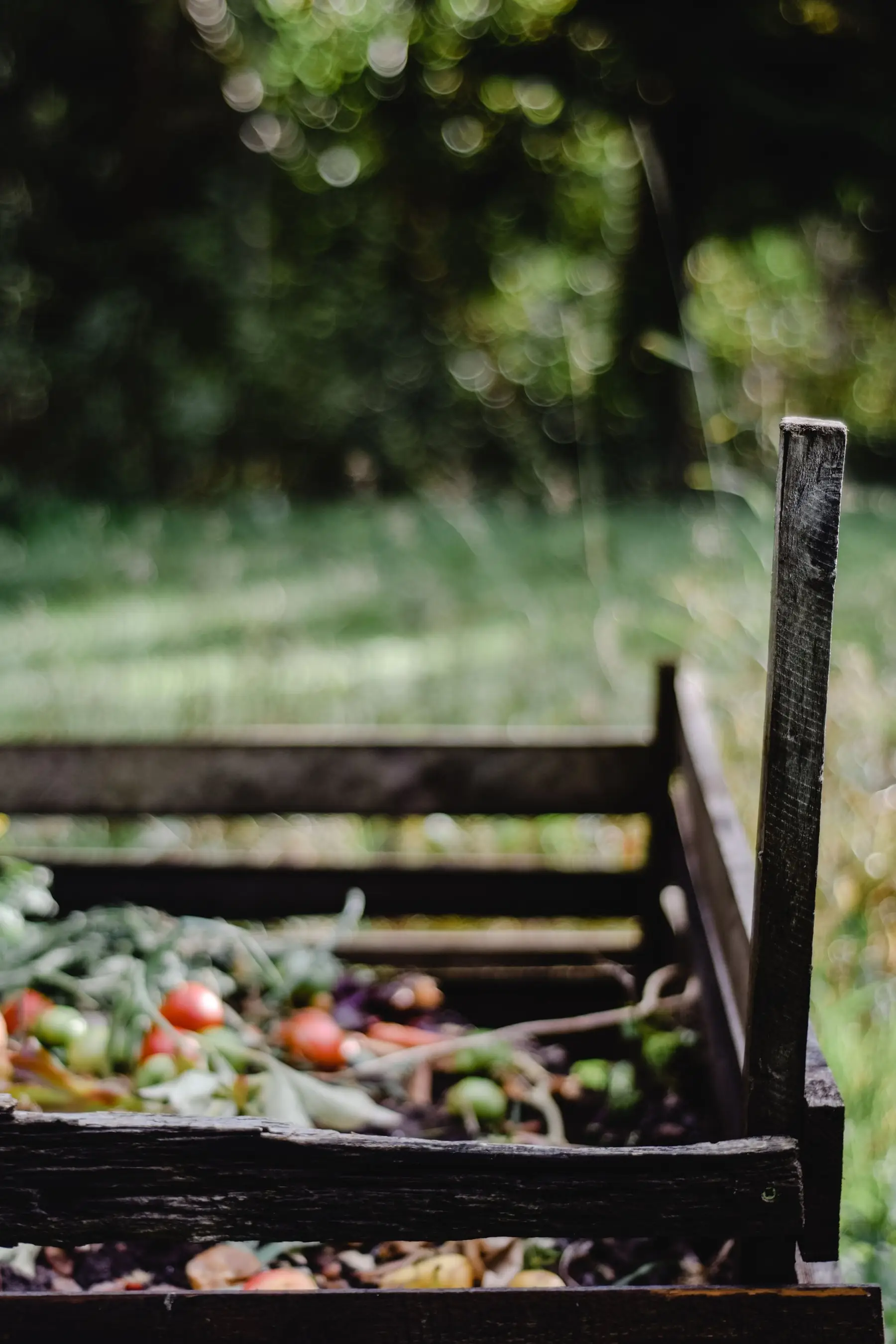 An open slatted wooden compost bay in a garden, part-filled with spent plants and vegetable waste