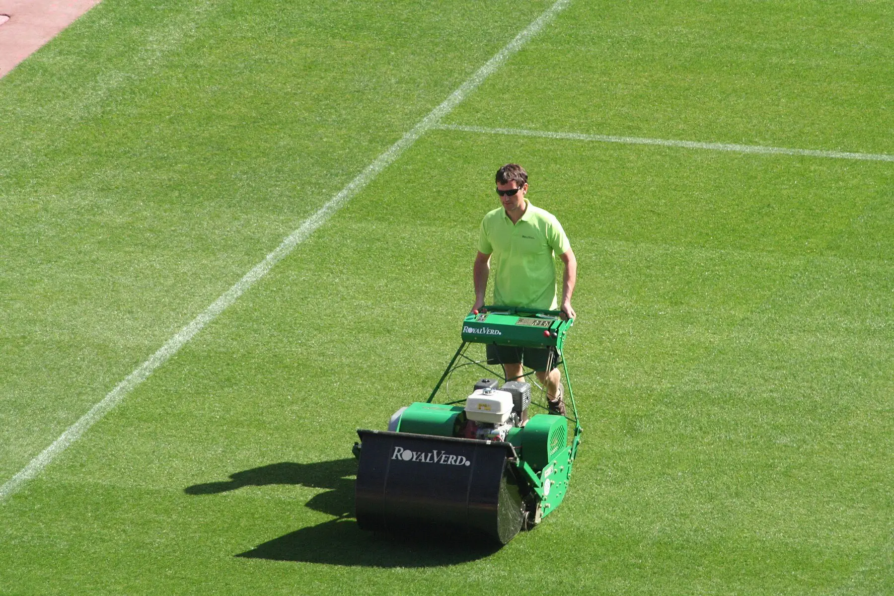 A groundsman pushing a petrol cylinder mower with a full-width collection box across close-mown turf