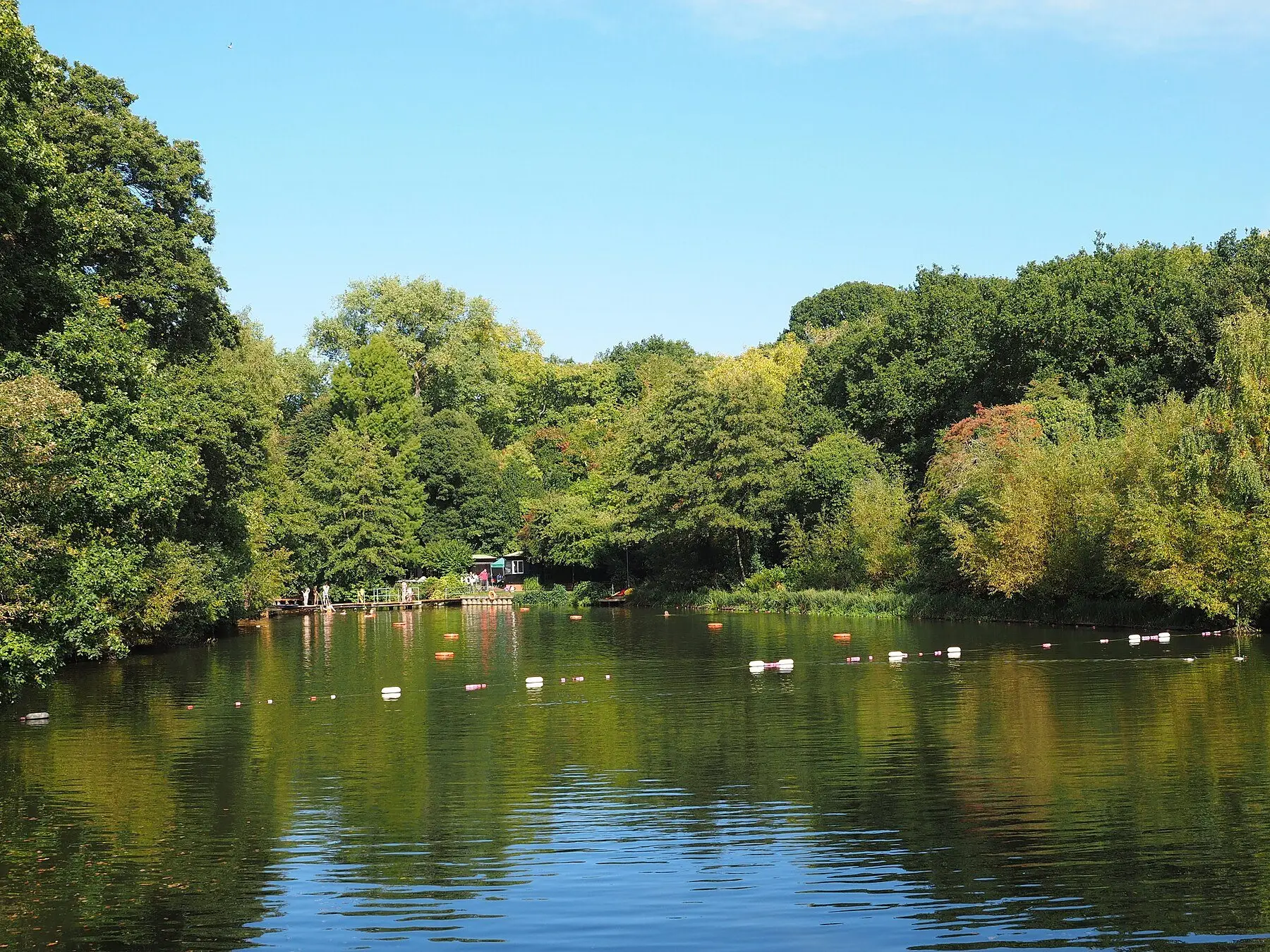 A tree-lined swimming pond marked out with lane buoys, with a lifeguard hut on the bank