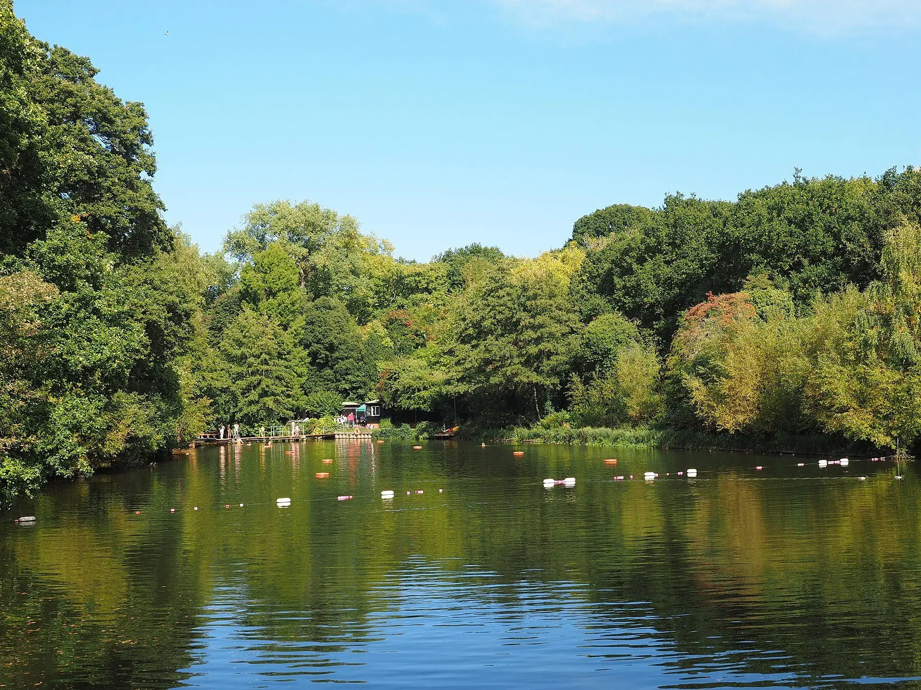 A tree-lined swimming pond marked out with lane buoys, with a lifeguard hut on the bank