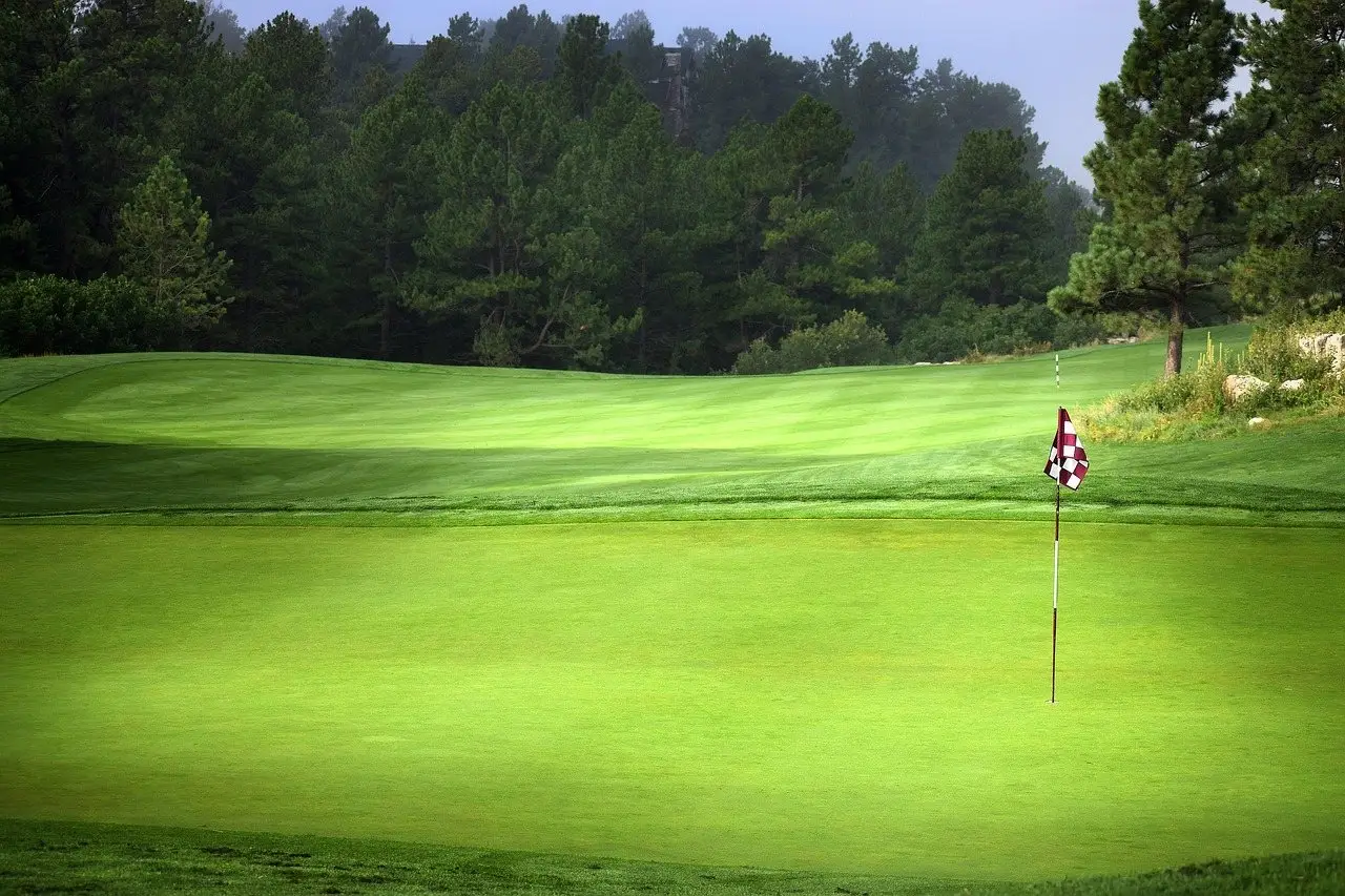 A closely mown putting green with a flagstick in the hole, trees behind