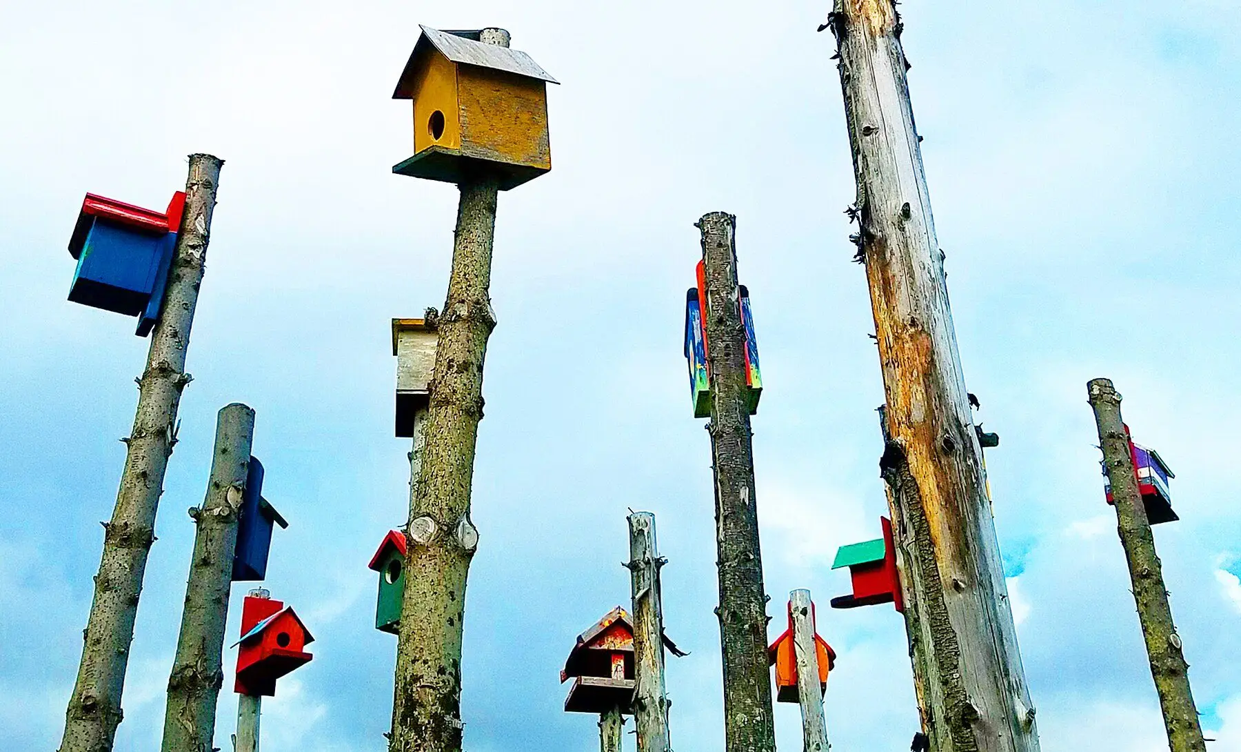Brightly painted birdhouses mounted on the tops of tall bare poles against a pale sky