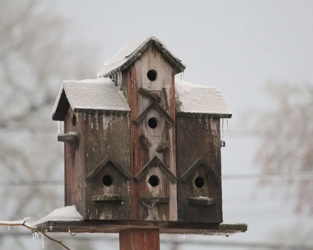 A weathered multi-hole birdhouse on a post, roofs capped with snow and icicles