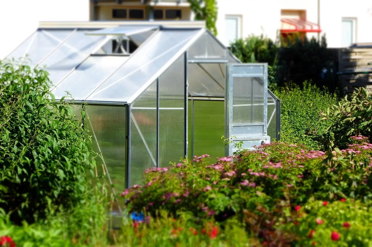 An aluminium-framed greenhouse with the door open, surrounded by flowering shrubs