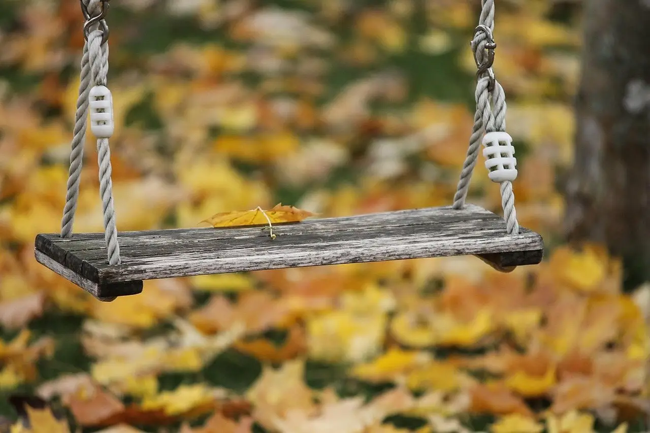 A weathered wooden swing seat hanging on ropes over fallen autumn leaves
