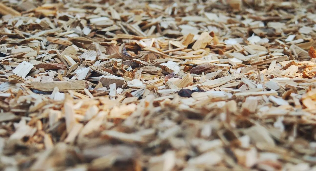 A close view of a loose layer of pale wood chip mulch