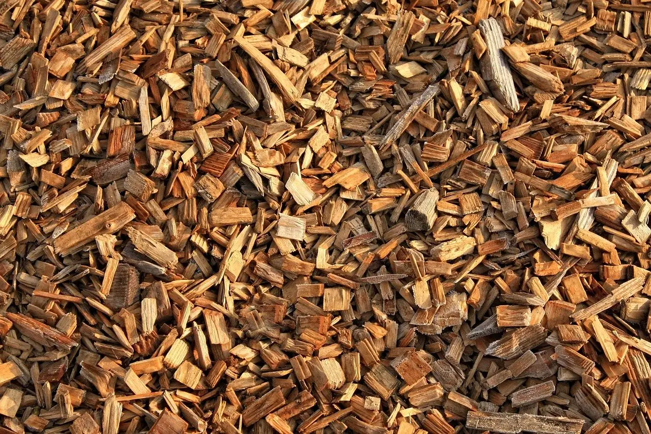 A close view of coarse pale wood chips filling the frame