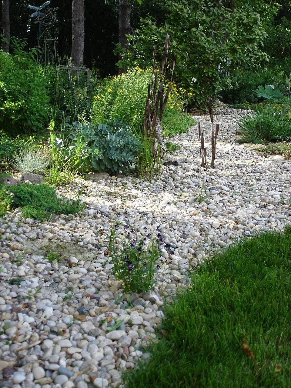 A garden of pale gravel and dry-creek stone planted with grasses and low shrubs instead of lawn