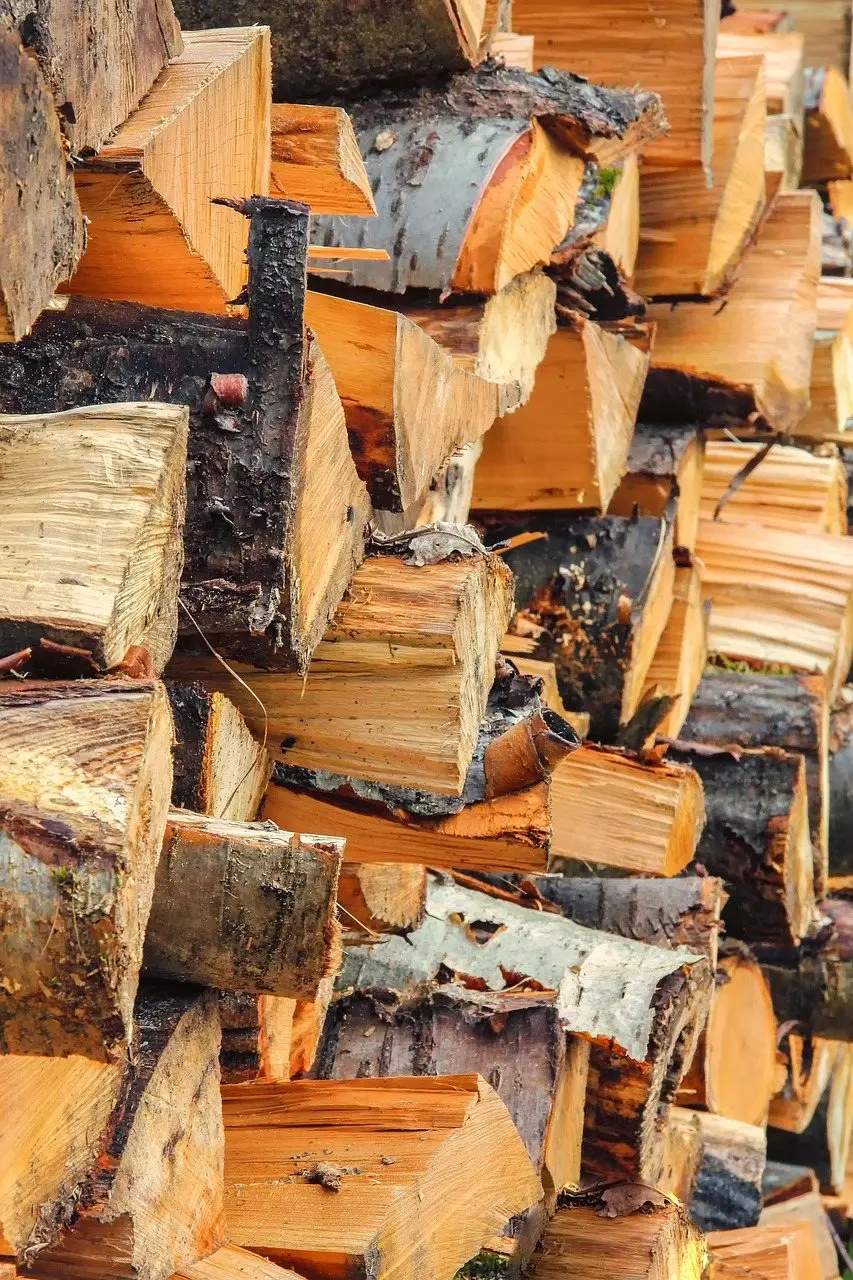 Split firewood drying