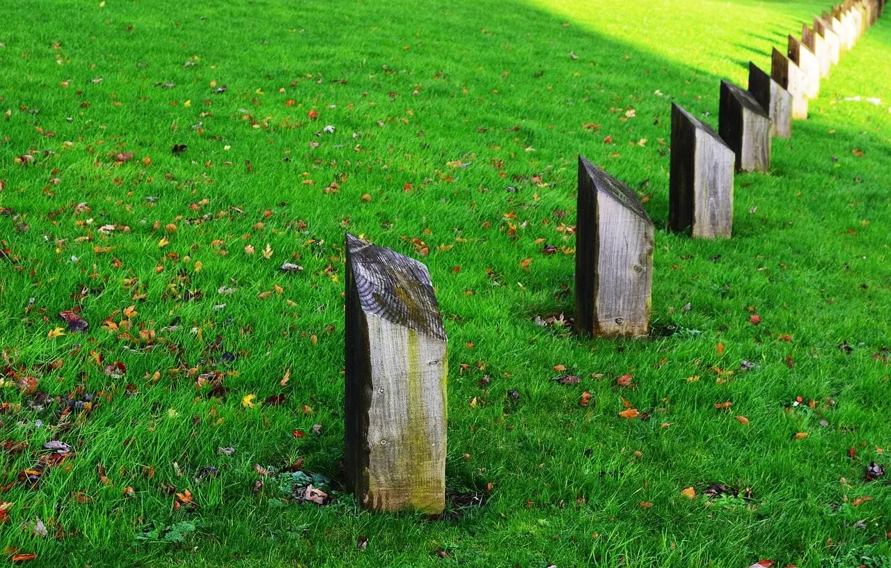 A line of square timber posts set into mown grass, receding into the distance
