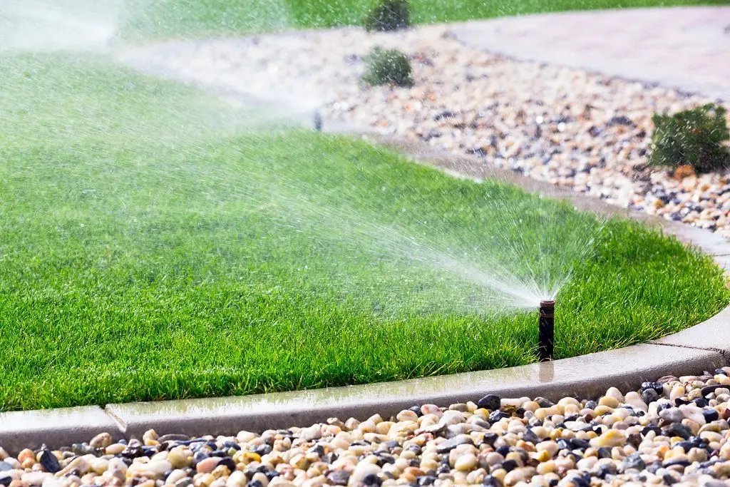 Pop-up sprinkler heads running along the edge of a lawn beside a gravel border