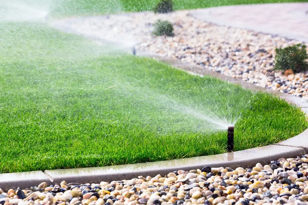 Pop-up sprinkler heads running along the edge of a lawn beside a gravel border
