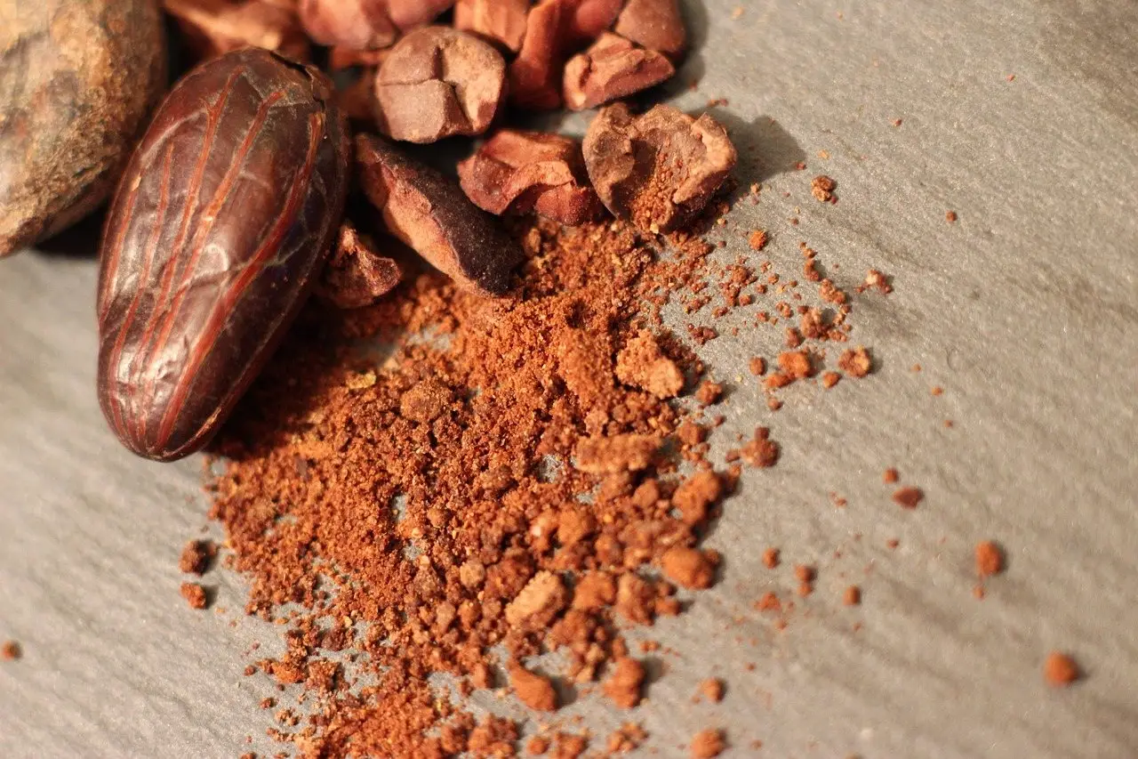 Whole cacao beans beside a scatter of loose cocoa powder