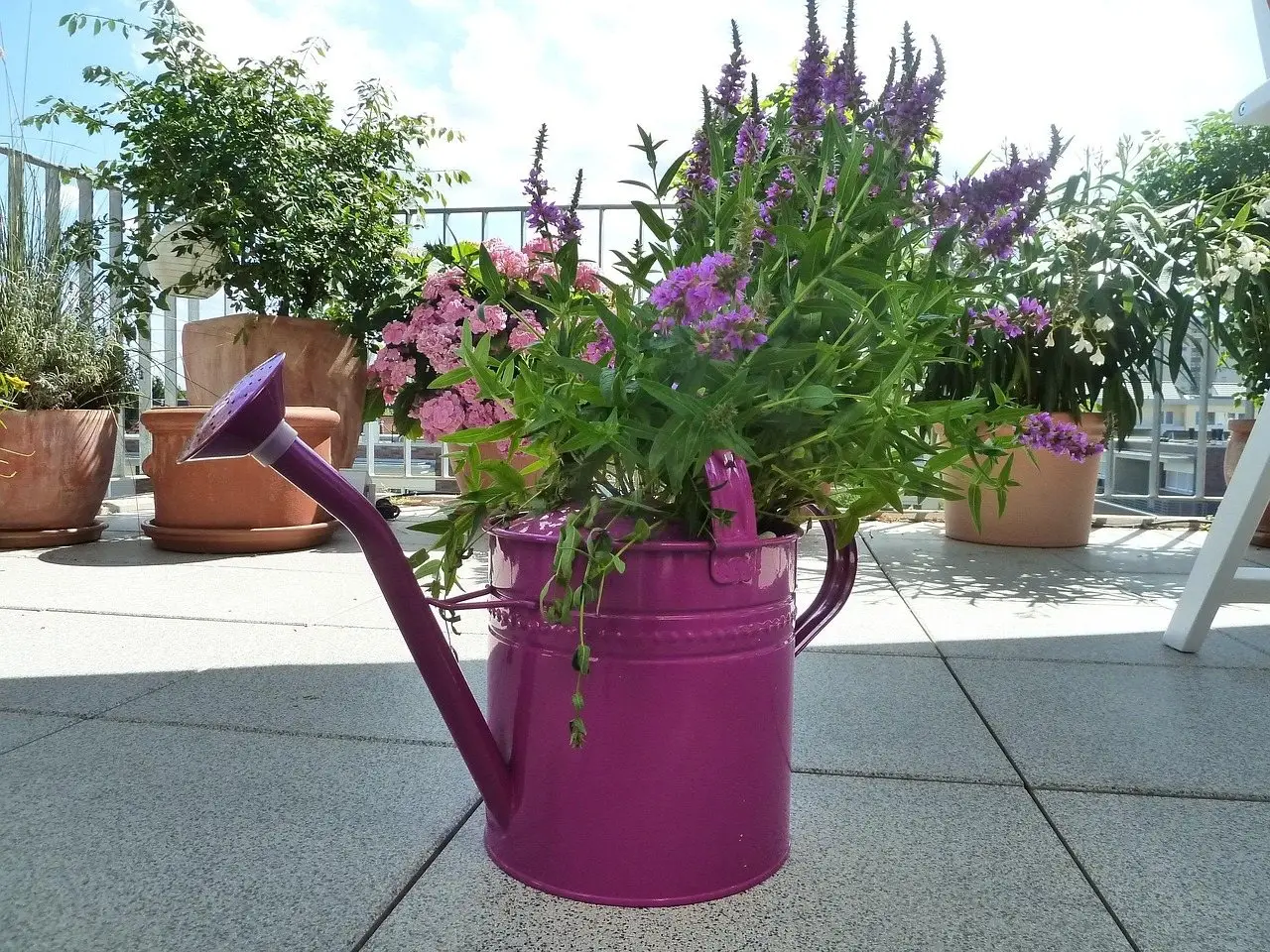 A pink watering can beside flowering pots on a paved terrace