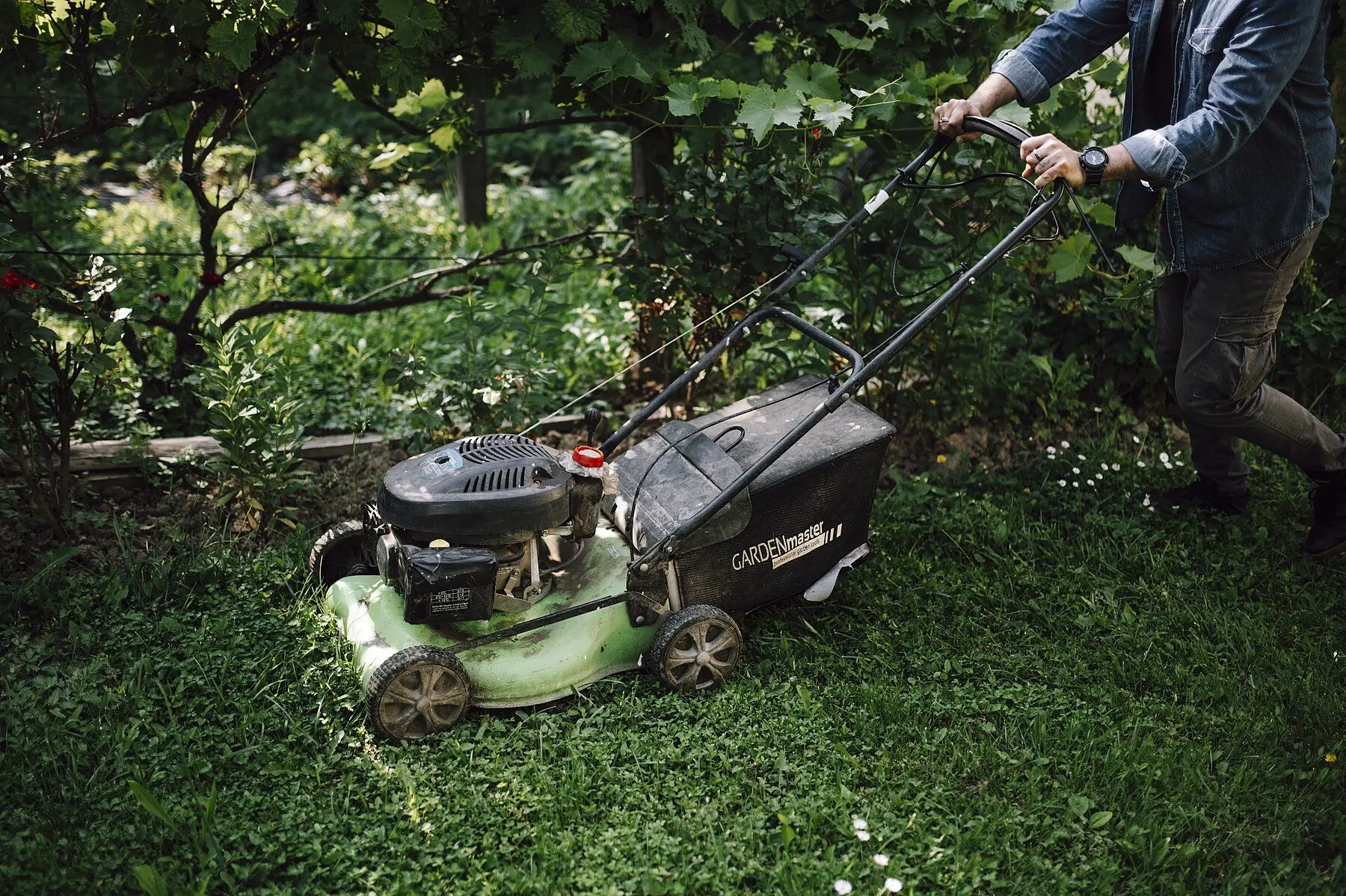 A push mower being worked across a rough, uneven, weedy lawn