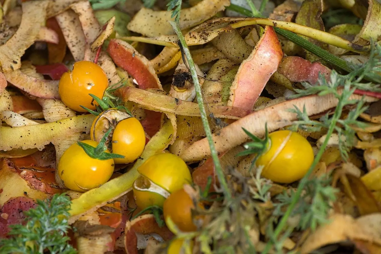Compost heap garden