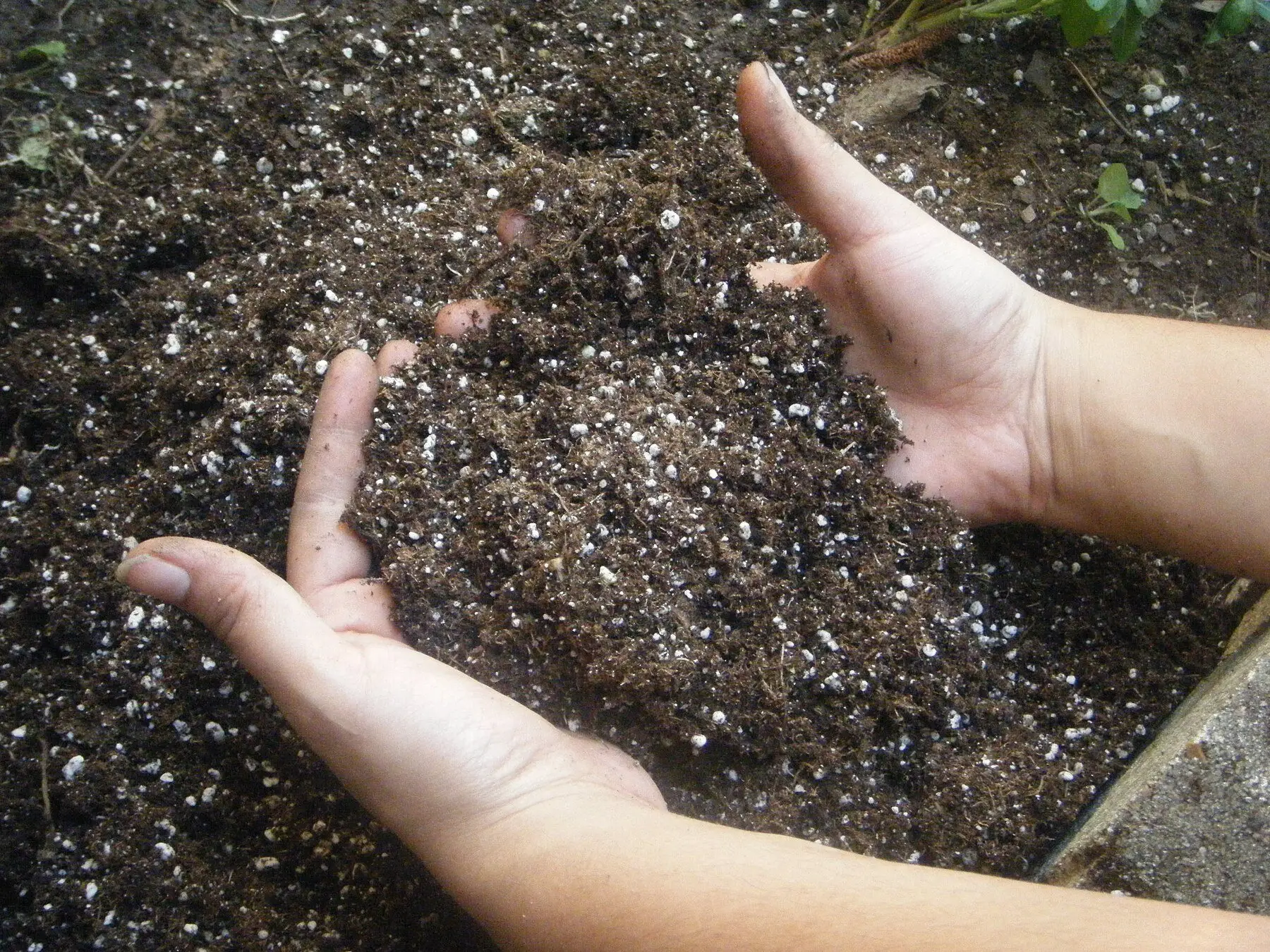 Two hands lifting a handful of dark garden soil