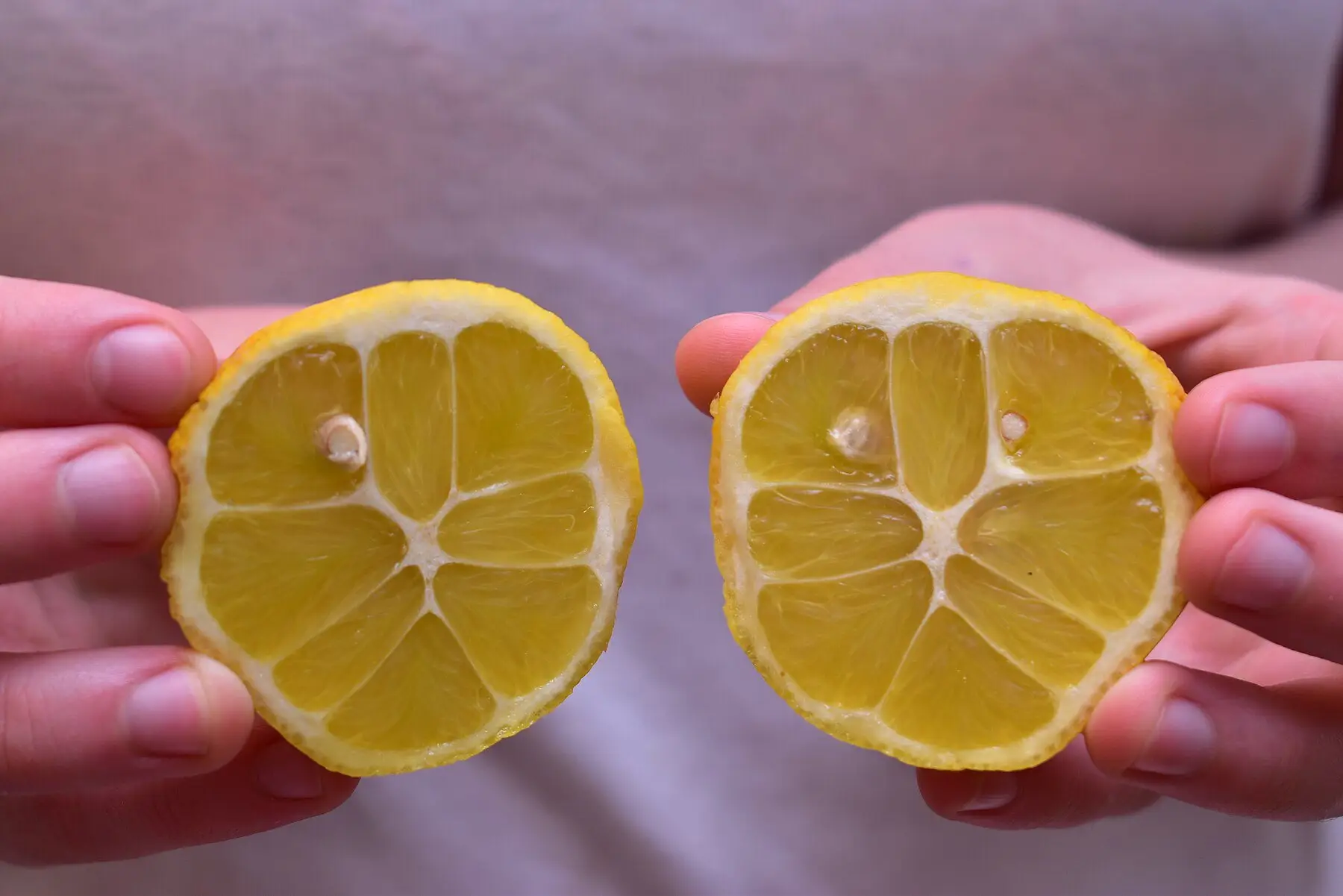 Two lemon halves held up in a pair of hands
