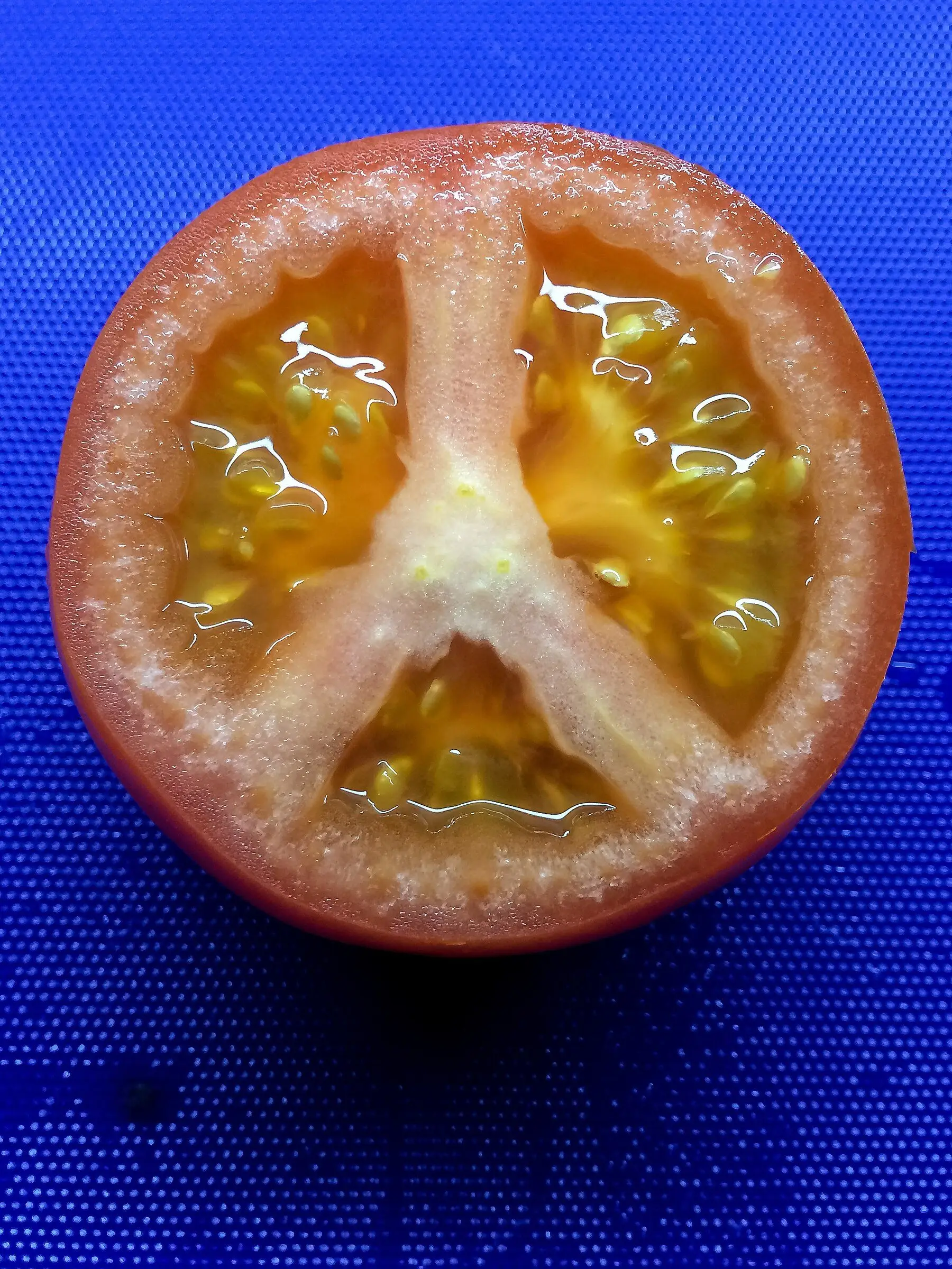 A tomato cut across the equator, showing seeds suspended in gel inside the chambers