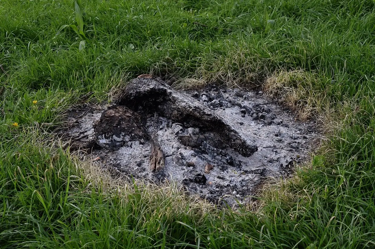 A patch of cold grey wood ash and part-burnt wood left on grass after a fire