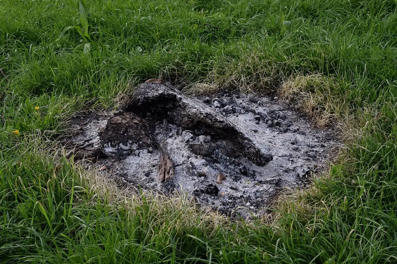 A patch of cold grey wood ash and part-burnt wood left on grass after a fire