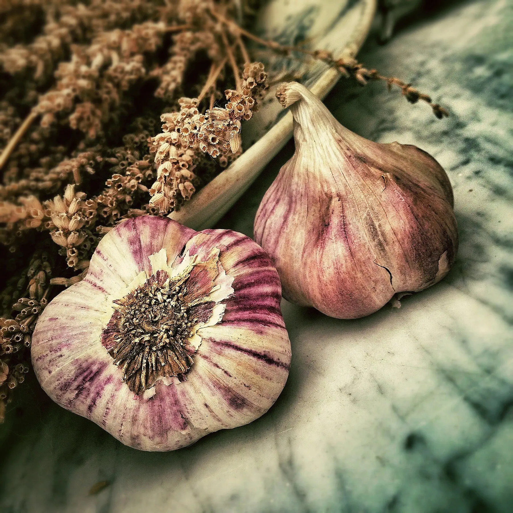Two cured garlic bulbs with papery purple-streaked wrappers