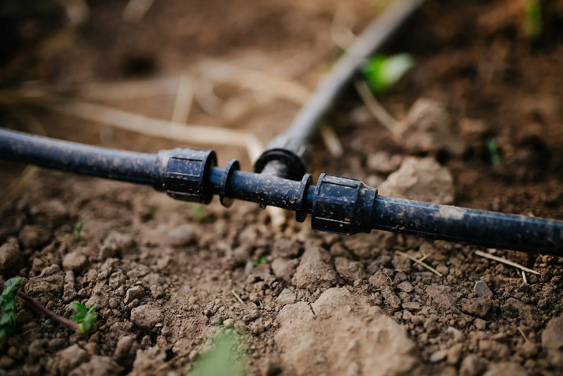 Irrigation line with barbed connectors laid along a garden bed