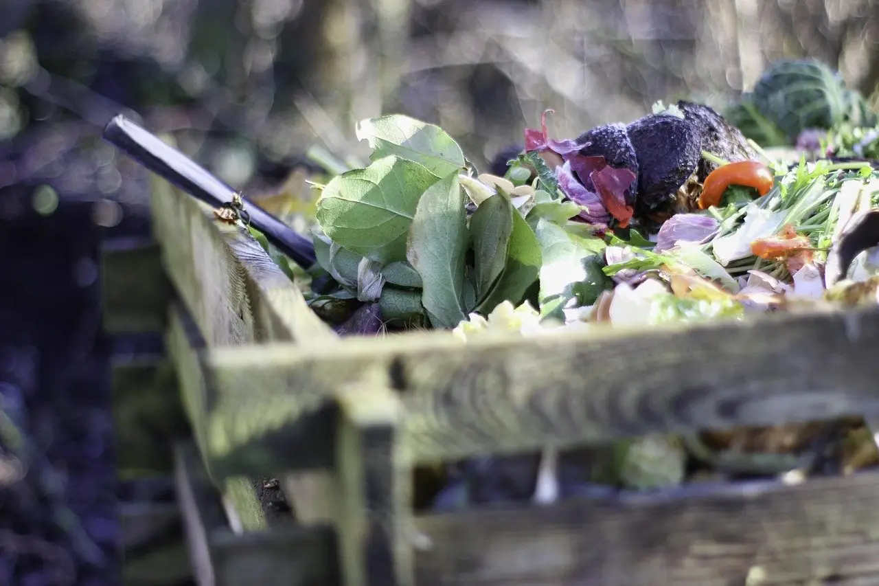 Fresh vegetable waste piled in a slatted wooden compost bin