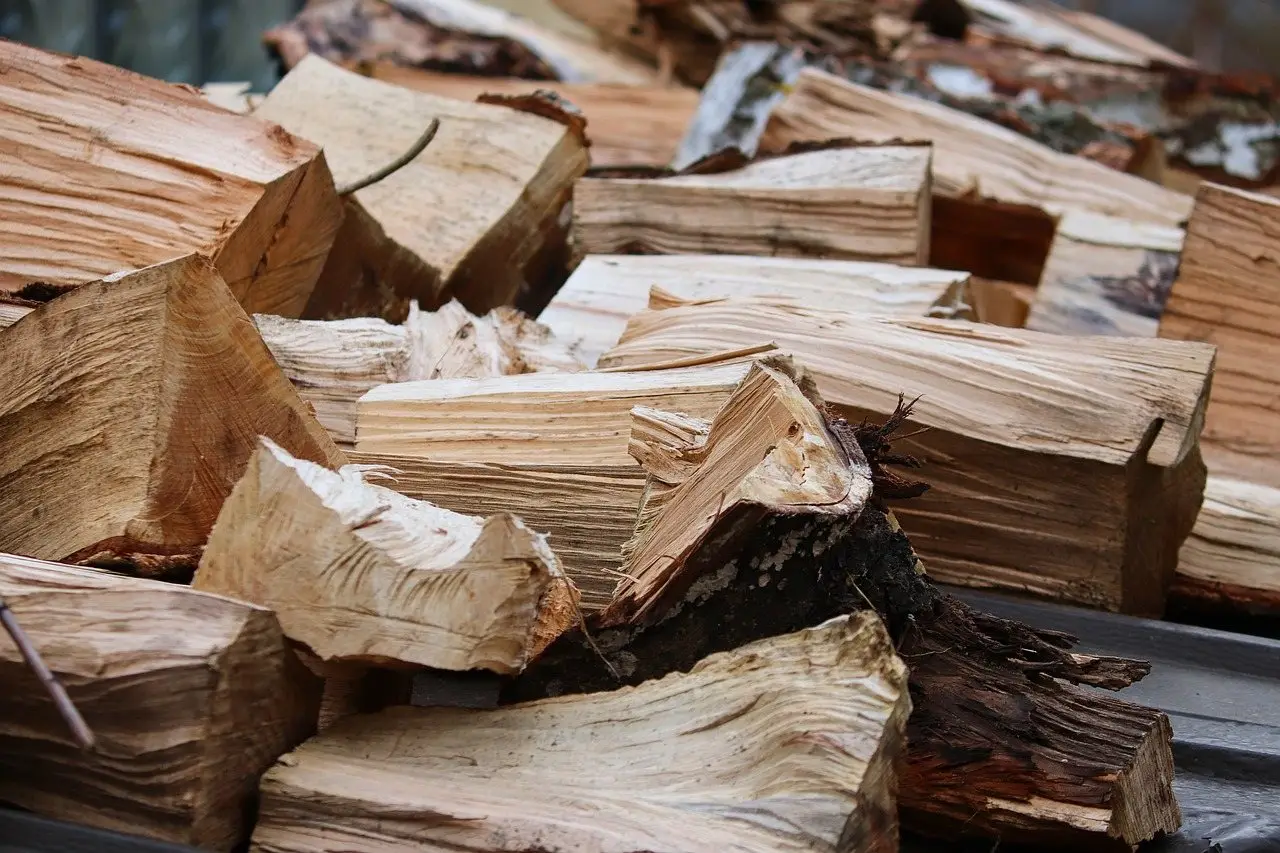 A heap of freshly split hardwood logs showing pale cut faces