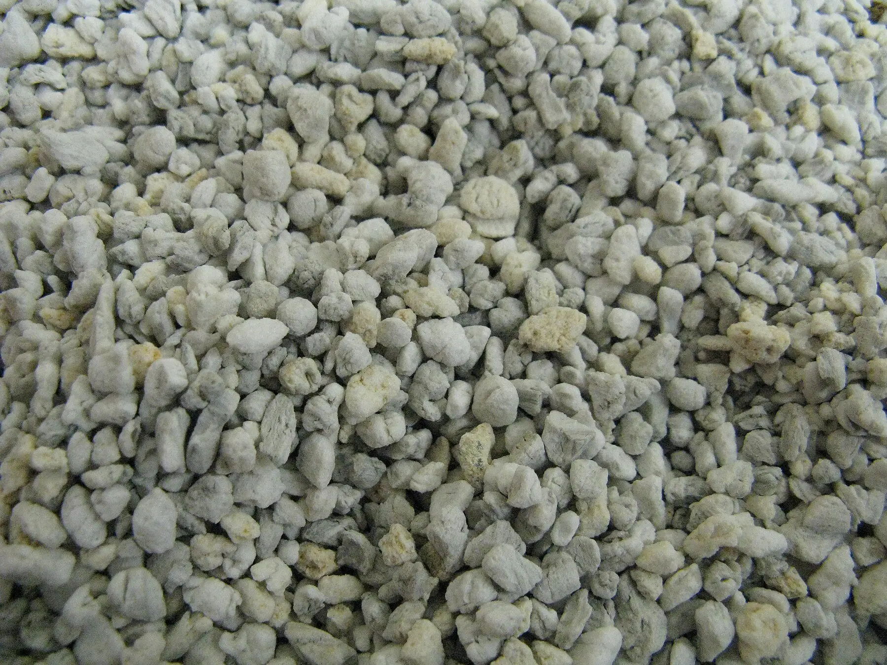 A close-up of horticultural perlite granules, hard white irregular pieces of expanded volcanic glass