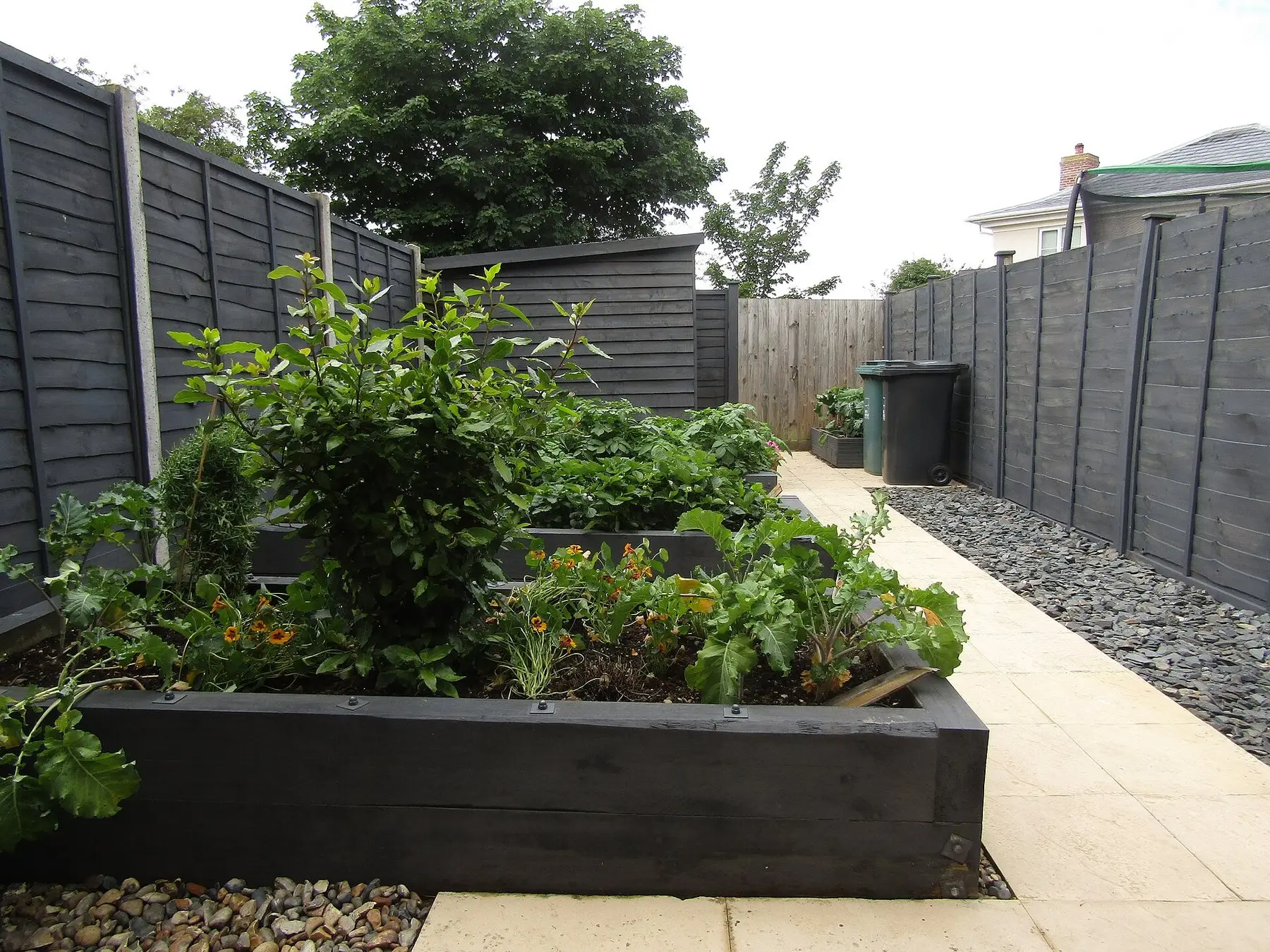 Timber raised beds along a fence in a small back garden