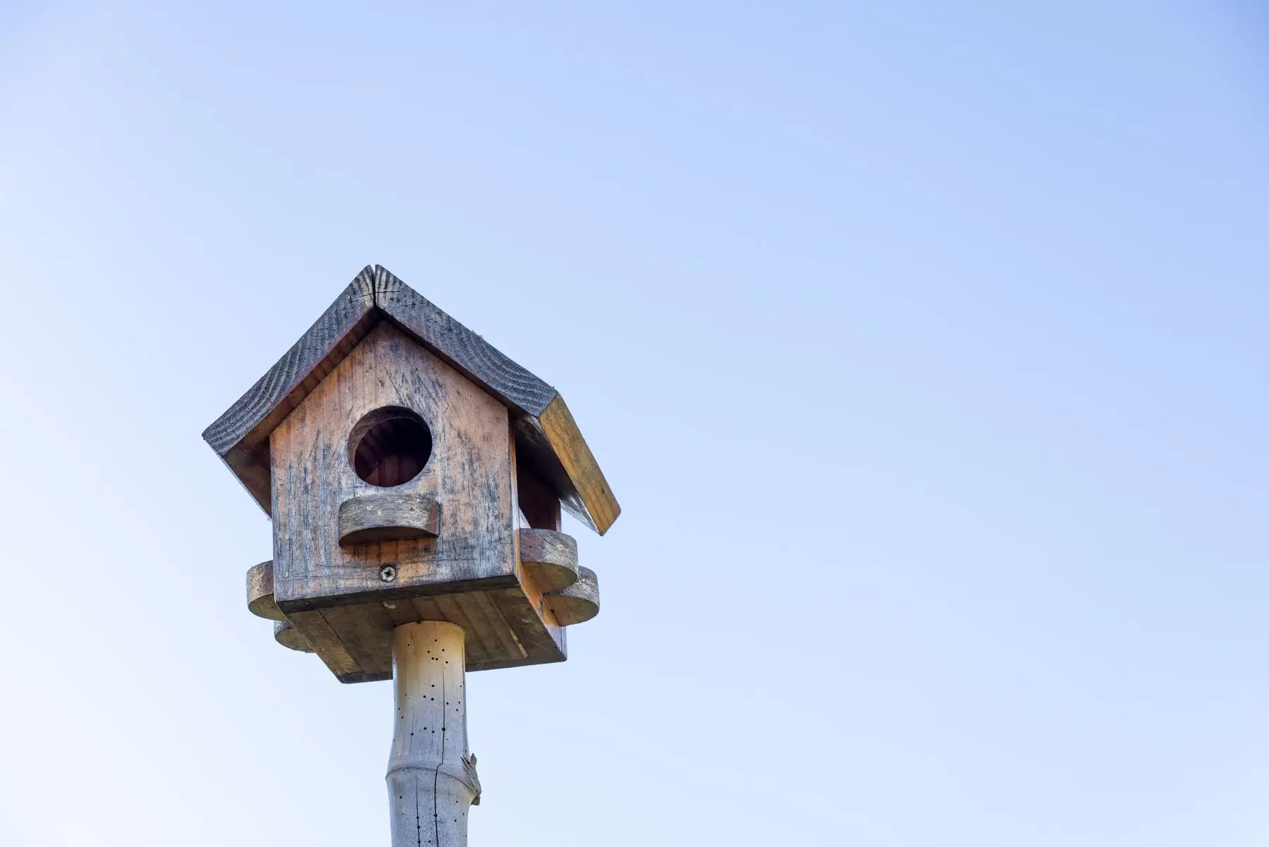 A weathered wooden nest box on a pole against clear sky, with a perch below the entrance hole