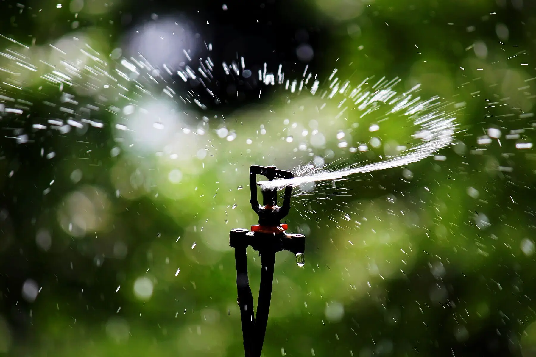 An impact sprinkler head on a riser throwing a backlit jet of water