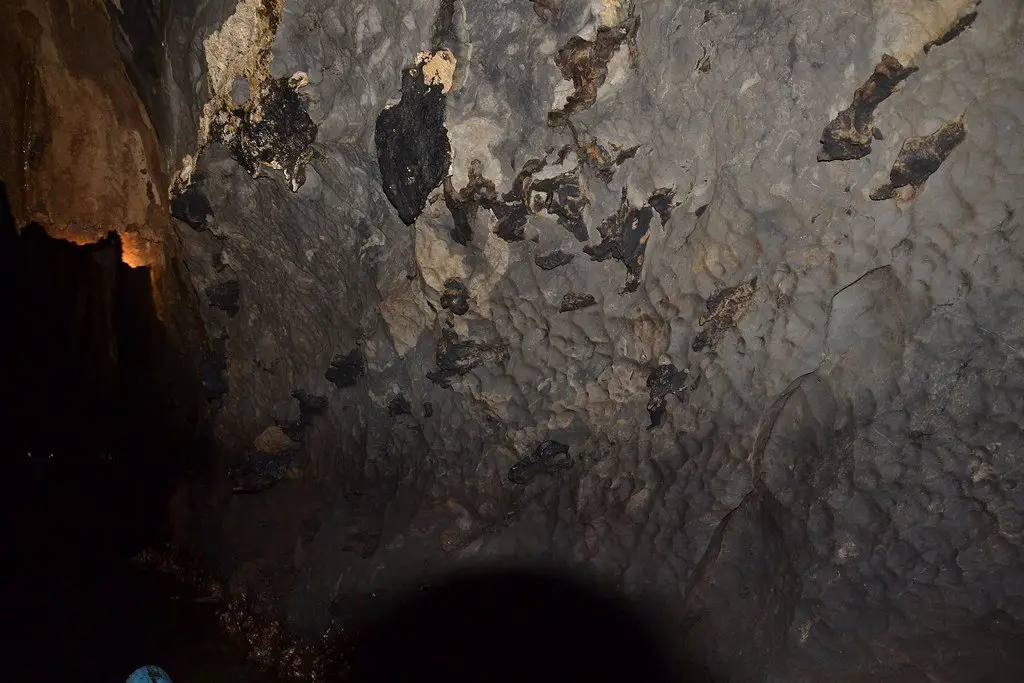 Hardened bat guano deposits crusted on a cave wall, lit by torchlight
