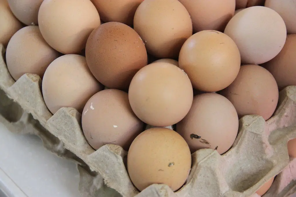 Unwashed brown farm eggs stacked in a cardboard tray, bits of nest debris still on the shells