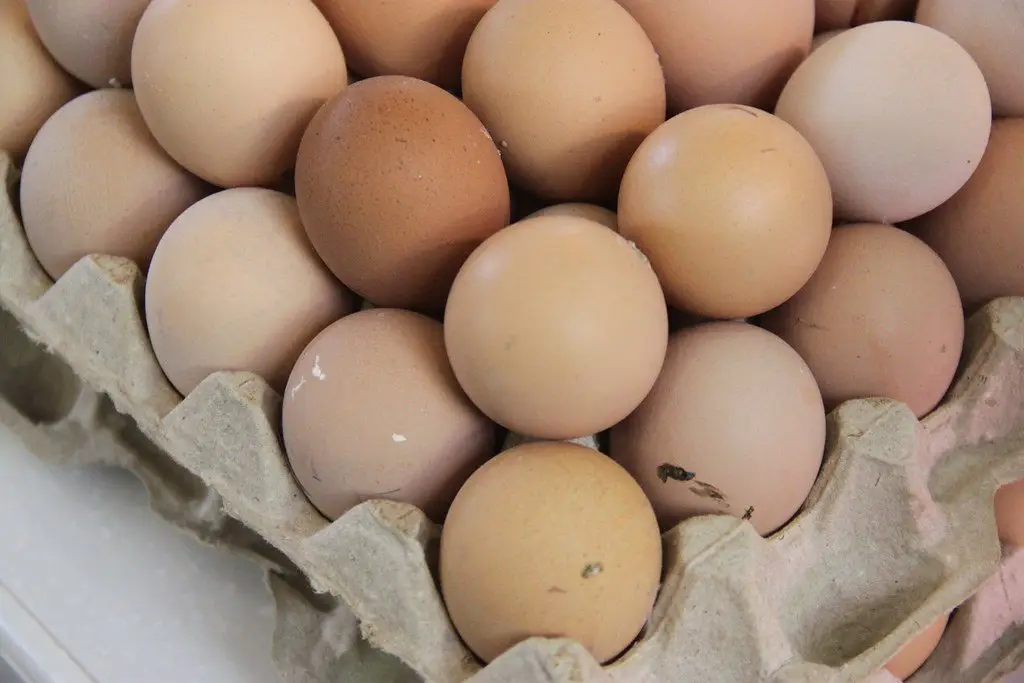 Unwashed brown farm eggs stacked in a cardboard tray, bits of nest debris still on the shells