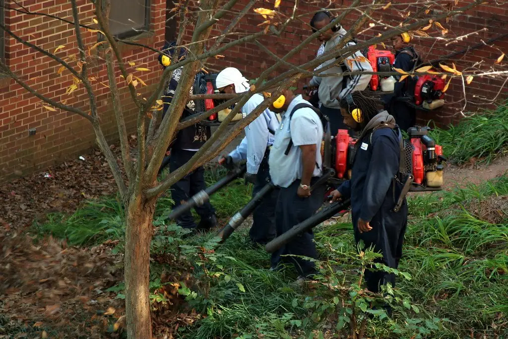 A grounds crew in ear defenders working a bed with backpack leaf blowers, blower tubes angled at the leaf litter