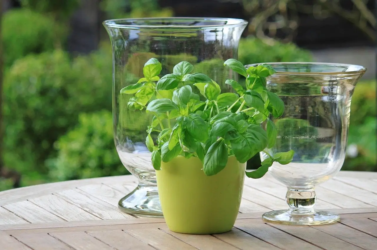 Herb container garden